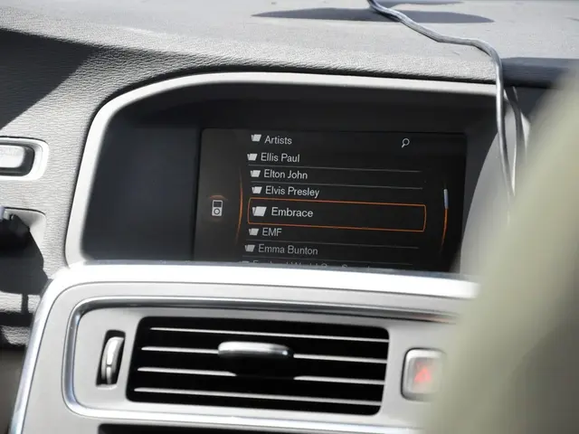 Strong Q2 Results: The Standout Seven Surpass Growth Predictions