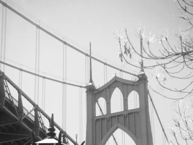 Proposed Building Project: Suspension Bridge in Rottweil