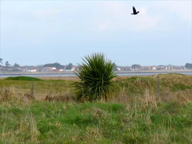 Drones' Applications Unveiled: Discover Six Stunning Uses Immediately