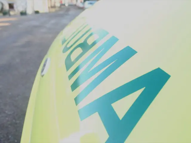 Germany Intends to Employ Hydrogen for Heating and Transportation Purposes in Revised Strategy -...