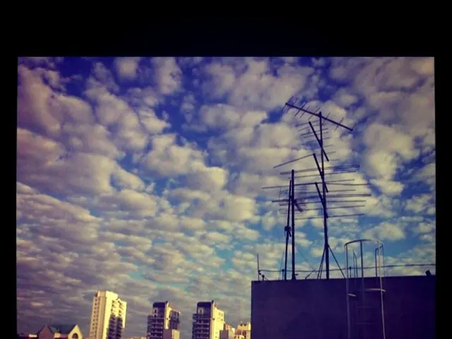 Dynamic Signal Shaping with Software-Controlled Radio Equipment in Real-Time