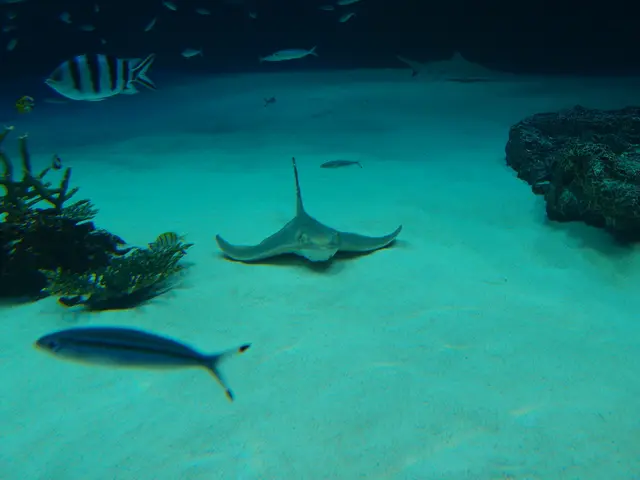 Partnership formed between KETOS and Siemens, aiming to bolster water management resources on a...