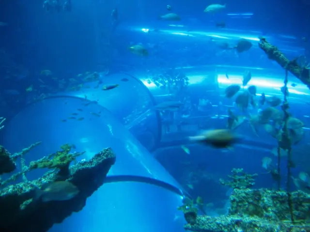 Hydrography Work Plan for the Years 2019-2022 by Commission 4, along with commission activities...