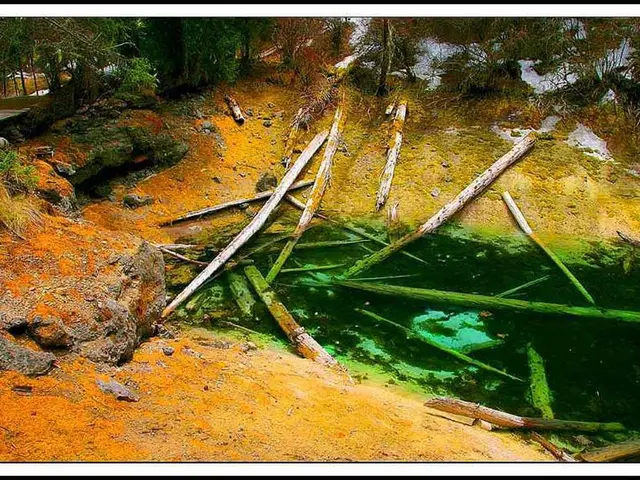 Delving into the Intricacies of Numerical Analysis and Its Key Role in Artificial Intelligence and...