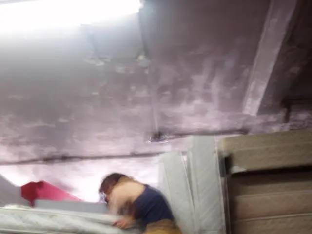 Affordable Mattress Face-Off: Zinus vs. Lucid in the Budget-Friendly Battle of 2025