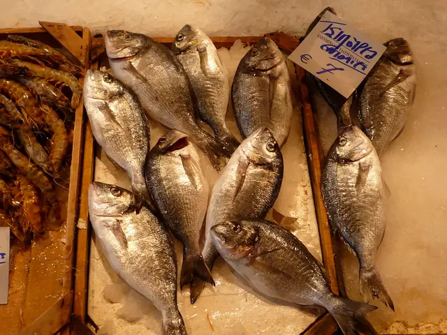 Ice Cream Temperature Control: Ensuring Your Frozen Delight Stays Chilly