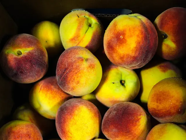 U.S. investment by Apple increased with Trump's endorsement by $100 billion