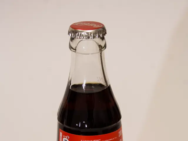 Top 10 Premium Express Checkout Solutions for WooCommerce Websites