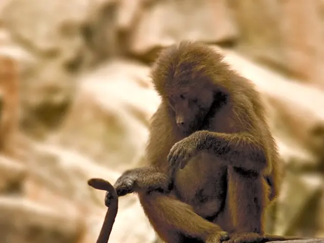 Harvard Unveils $116 Million Infusion into BlackRock's Bitcoin Exchange-Traded Fund