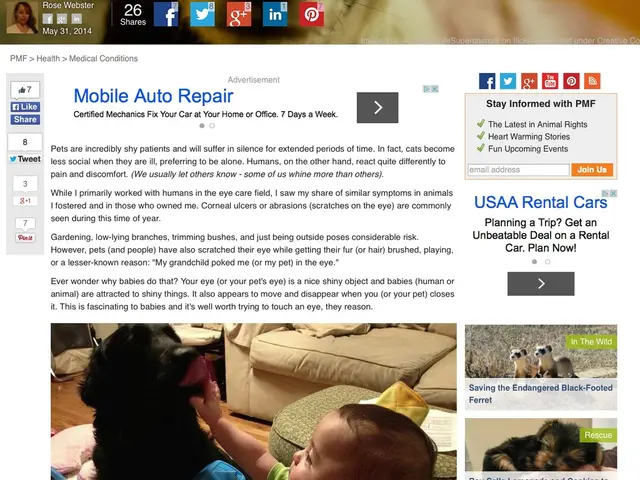 Daily Wordle Solution and Clues for August 7, 2025