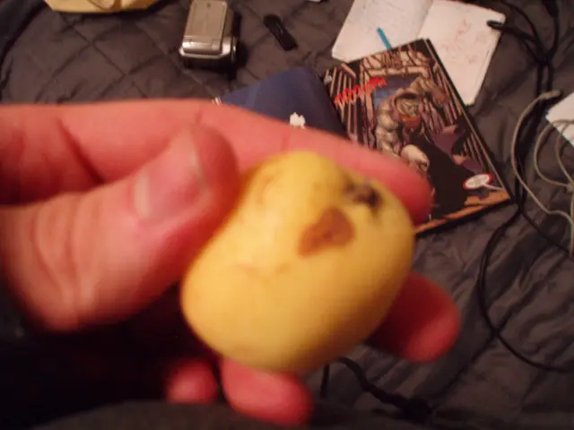 Creating Intuitive Movement-Based Interactions for Virtual and Enhanced Realities