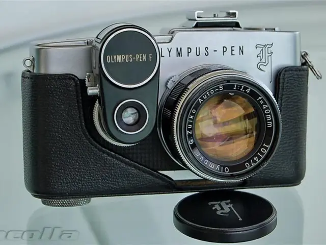 Maximizing utility from mirrorless cameras: 24 expert recommendations