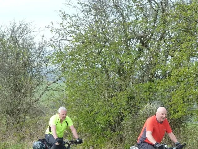 Comparison of Electronic Bicycles for Beginners: A Look at Trekking e-Bikes and e-Mountain Bikes