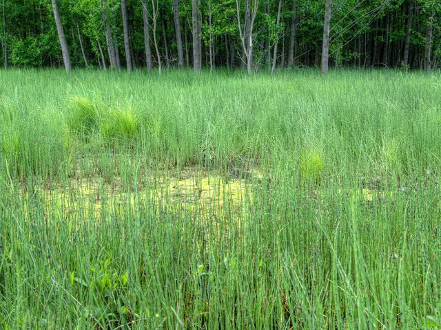 Transform Agriculture with Technology: Pioneer Modern Farming Ventures