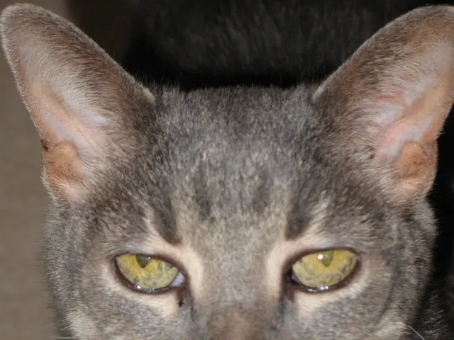 CATL unveils its NING Service Centers in Shanghai and Bangkok, raising the standard for the...