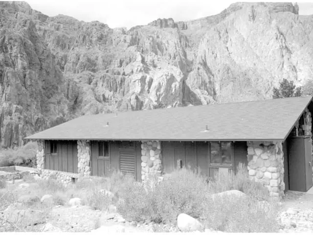 Forest shrubberies sculpted by mountaintops