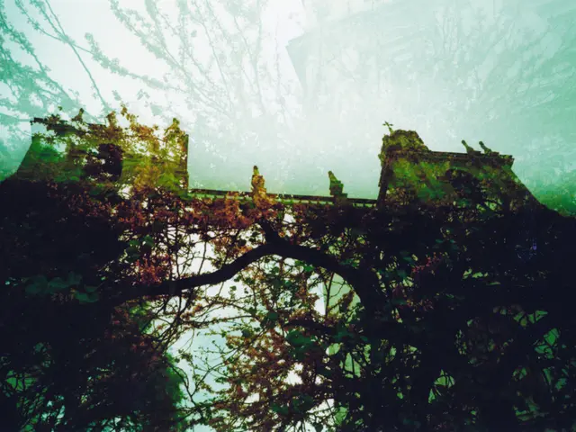 Regulation Implementation Acts to be Adopted, Outlining Usage Guidelines for This Legislation