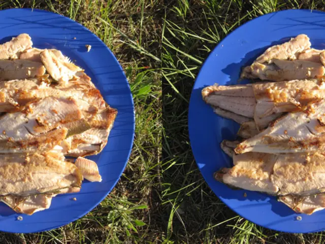 Fundraising Success for Better Meat Co: "Occasionally, developing a startup within our industry...