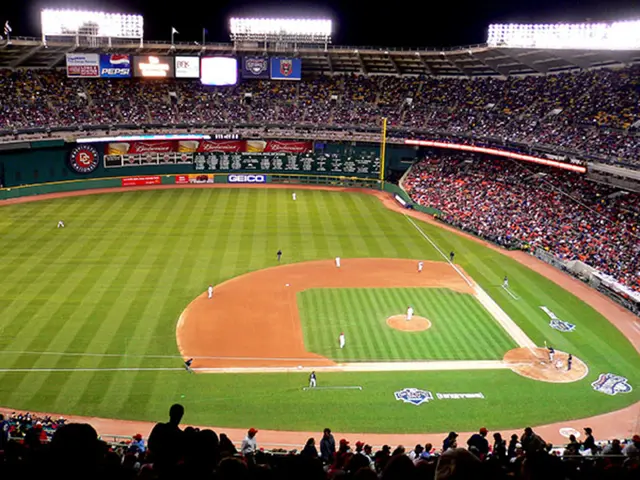 Stadium-wide clarity and coverage provided to spectators at The Springfield Cardinals' event