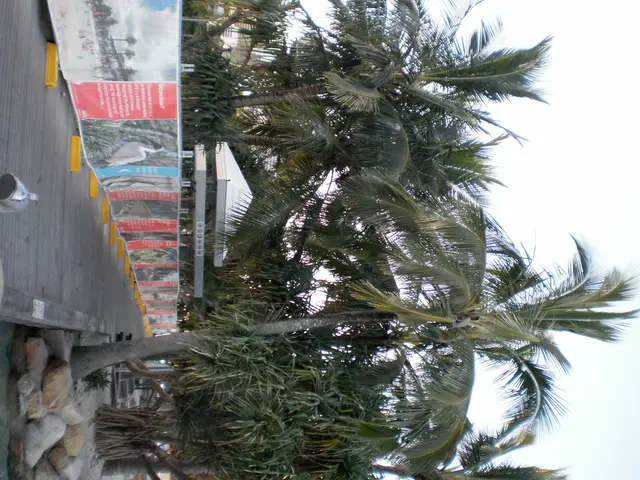 Spring 2021 Update for "Plan My Walk" App Announced