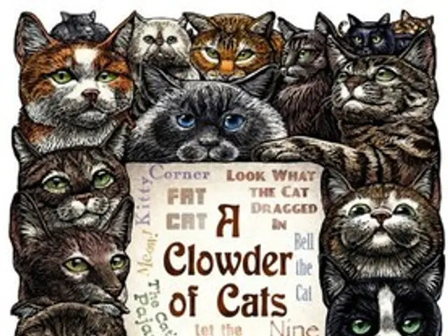 Securities Firm REX Announces Anticipated Approval of Dogecoin and Ripple ETFs by U.S. Securities...