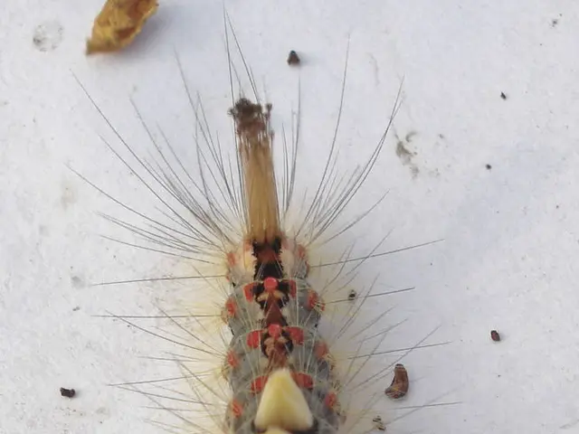 Wi-Fi intrusion via Pixie Dust method capitalizes on WPS vulnerability to obtain router PINs and...