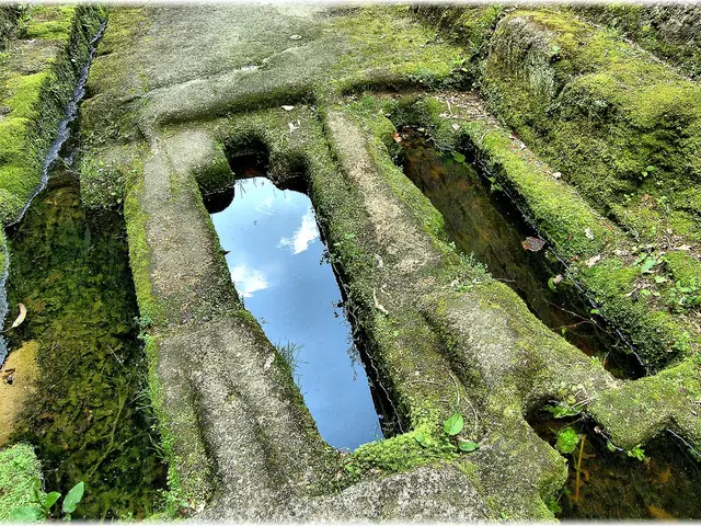 Hydrogen powered by green energy: a possible solution for energy-demanding businesses?