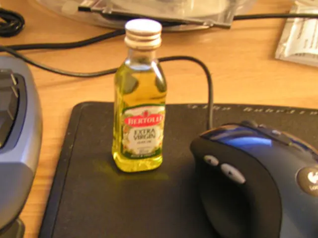 Essential Gadgets Aided My Successful Venture During My 2025 IFA Travel Abroad