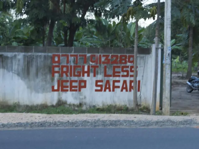 Platforms Supporting Smart Contract Execution in Blockchain Technology