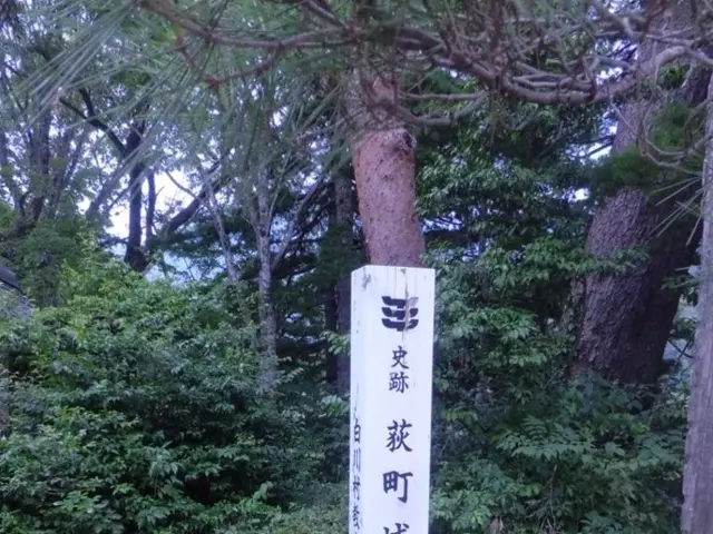 In this image in the center there is a wooden log with some signs on it and in the background there...