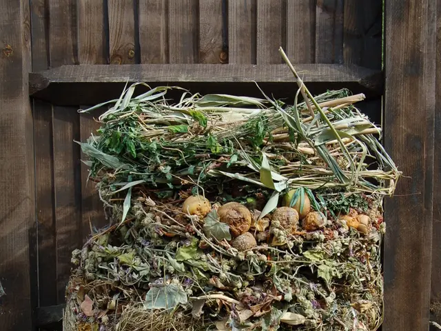 In this image I can see there is some garbage fruits and grass which looks like hay in front of...