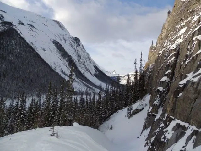 In this image I can see snow, number of trees, mountains, clouds and the sky.