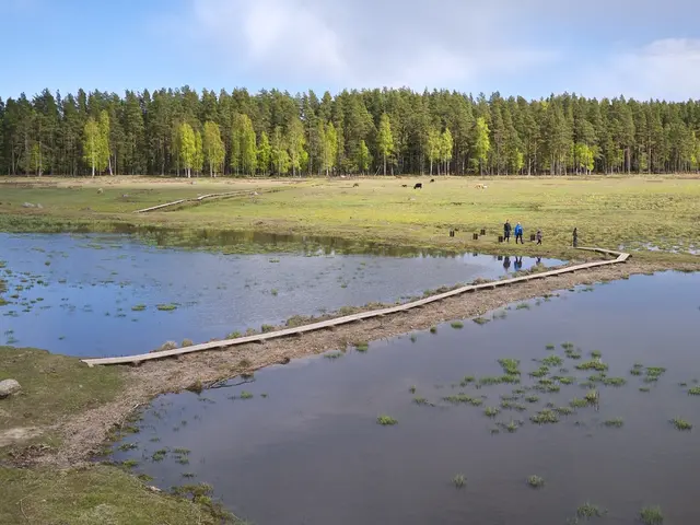 In this image we can see lake, grassy land and so many trees. At the top of the image sky is there...