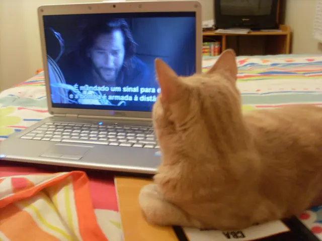 In this picture a cat is lying on the bed and watching the laptop in the background we can see a...