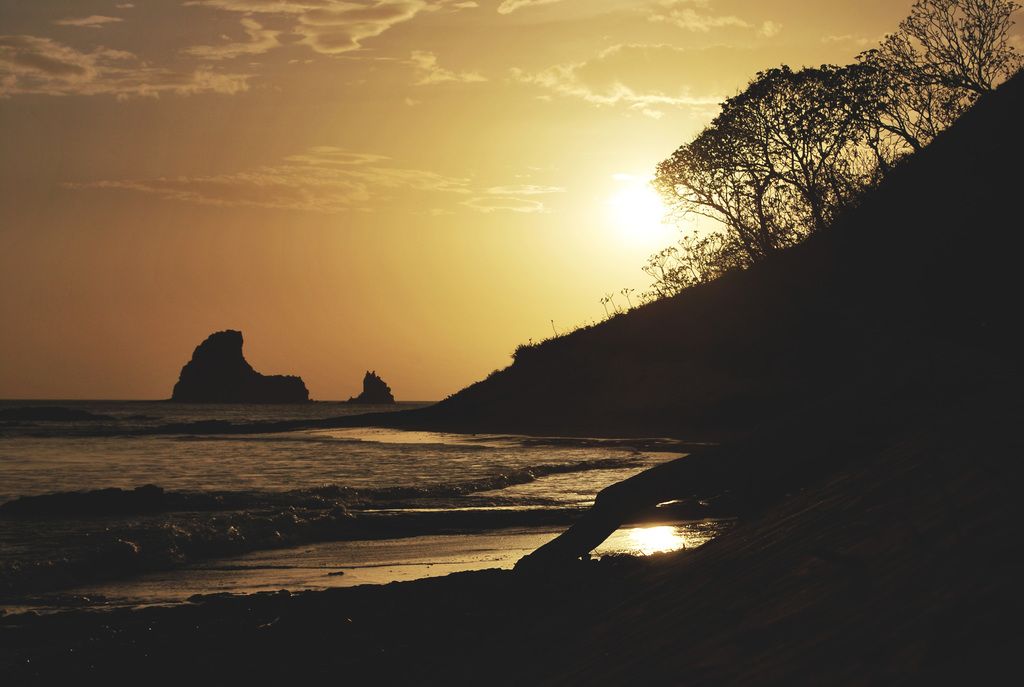 SwiftScan Offers Speed, Intuitiveness, and versatility, capable of managing diverse documents...